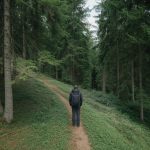 Gestion durable des forêts : comment concilier production de bois et biodiversité dans les massifs français