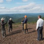 Le rôle des coopératives forestières dans la structuration de la filière bois et l’accompagnement des propriétaires
