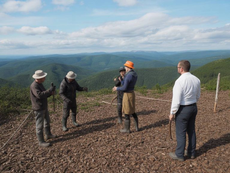 Le rôle des coopératives forestières dans la structuration de la filière bois et l’accompagnement des propriétaires