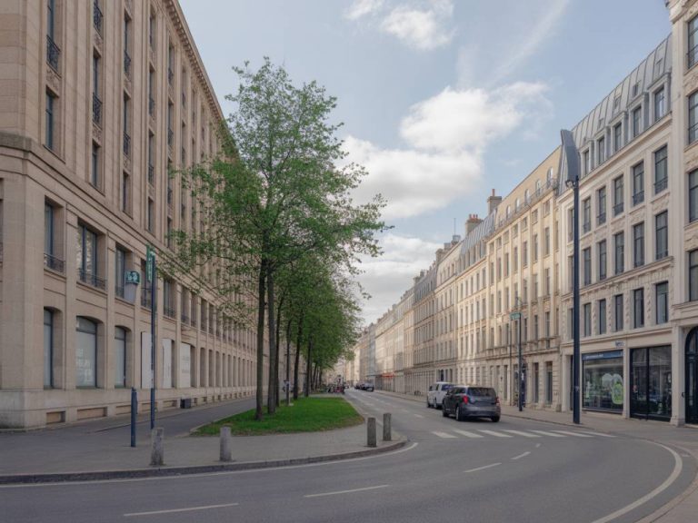 Bois et réhabilitation des bâtiments publics : solutions techniques, coûts et gains environnementaux pour les collectivités