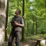 Forestier métier : missions, compétences et perspectives d’un professionnel de la forêt