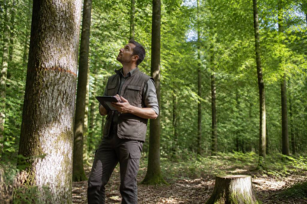 Forestier métier : missions, compétences et perspectives d’un professionnel de la forêt