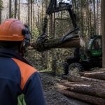 Entreprise de travaux forestiers : missions, services et expertise en forêt