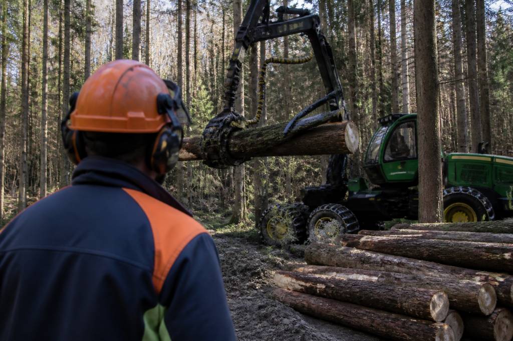 Entreprise de travaux forestiers : missions, services et expertise en forêt