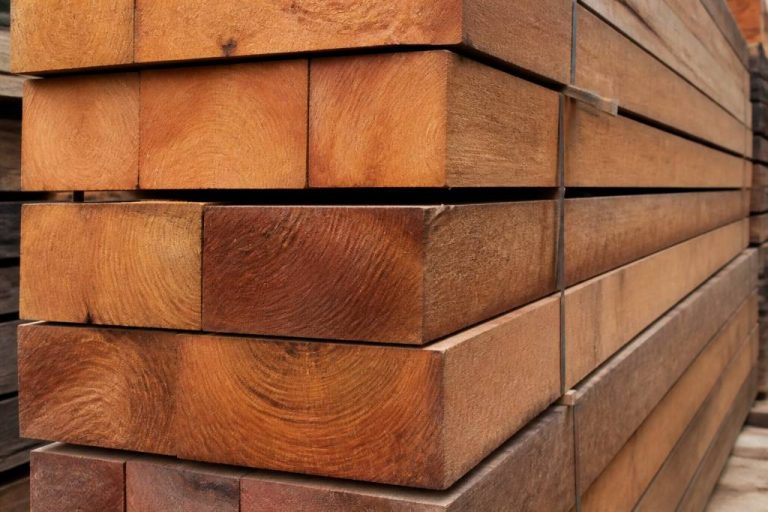 Bois movingui avis : caractéristiques, usages et prix du bois exotique