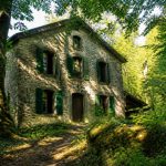 Ancienne maison forestière à vendre : prix, localisation et conseils d’achat