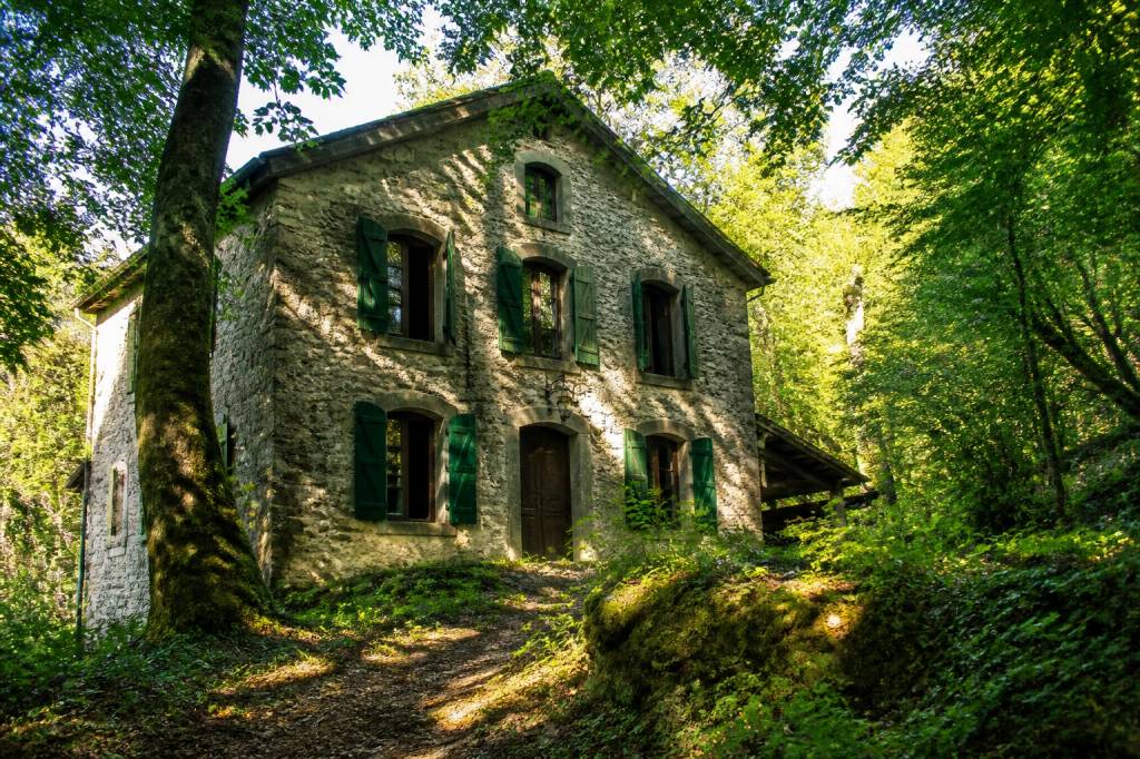 Ancienne maison forestière à vendre : prix, localisation et conseils d’achat