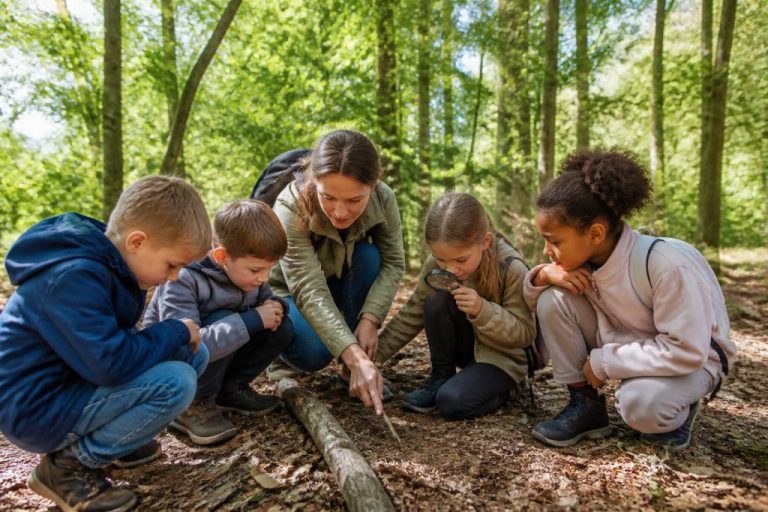 Activités pédagogiques en forêt : idées, bienfaits et conseils pour apprendre autrement