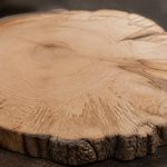 Bram du cerf : tout savoir sur ce matériau bois naturel et durable
