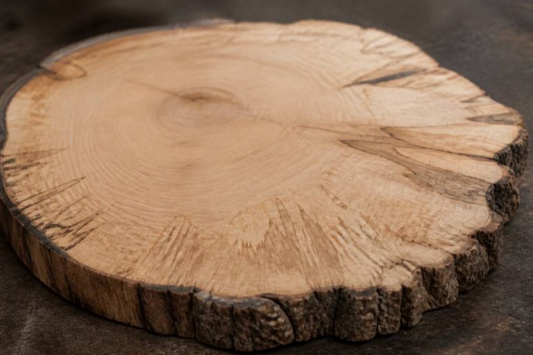 Bram du cerf : tout savoir sur ce matériau bois naturel et durable