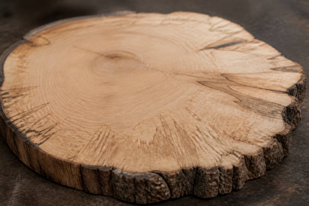 Bram du cerf : tout savoir sur ce matériau bois naturel et durable