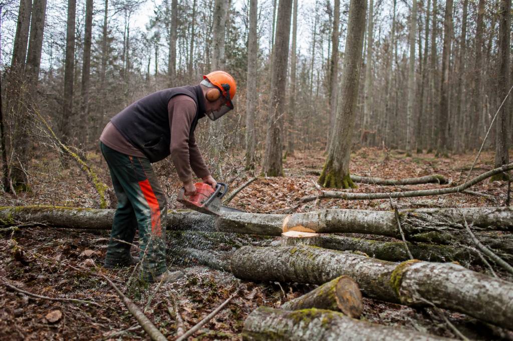 Affouage définition : tout savoir sur cette pratique forestière de bois de chauffage