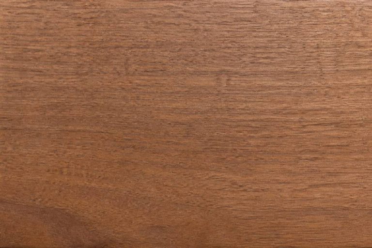 Bois de phalempin : usages, qualités et conseils d’achat