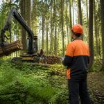 Emplois forêt : métiers, débouchés et opportunités dans le secteur forestier