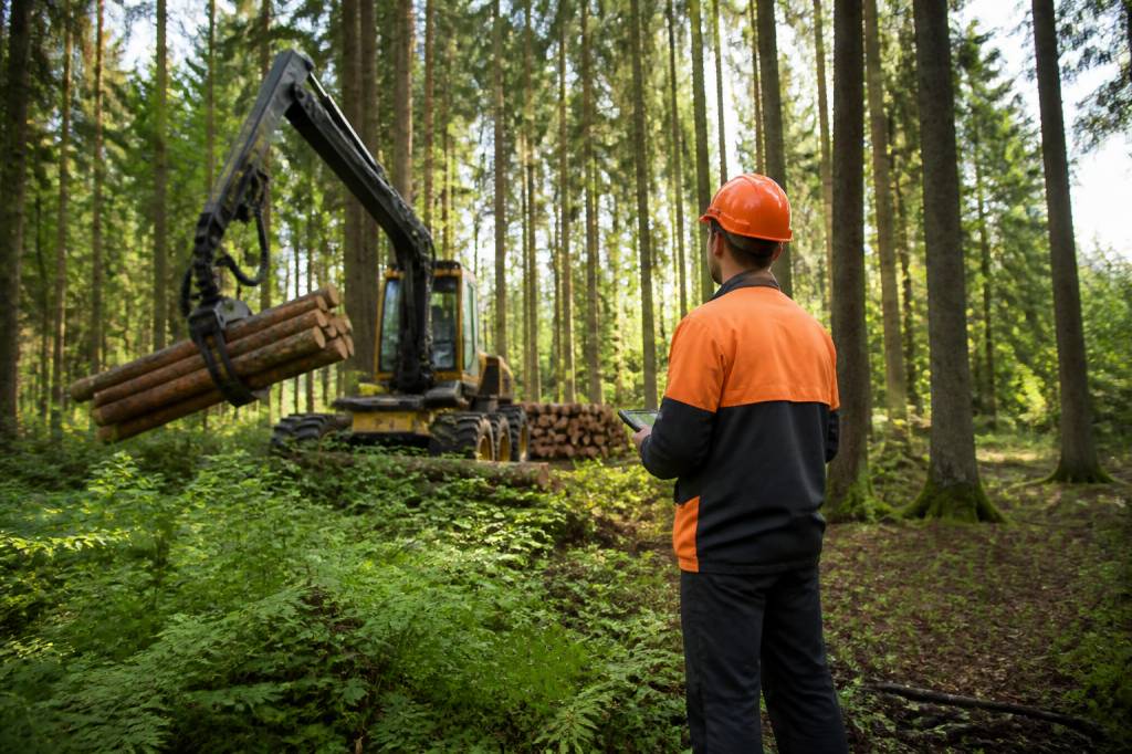 Emplois forêt : métiers, débouchés et opportunités dans le secteur forestier