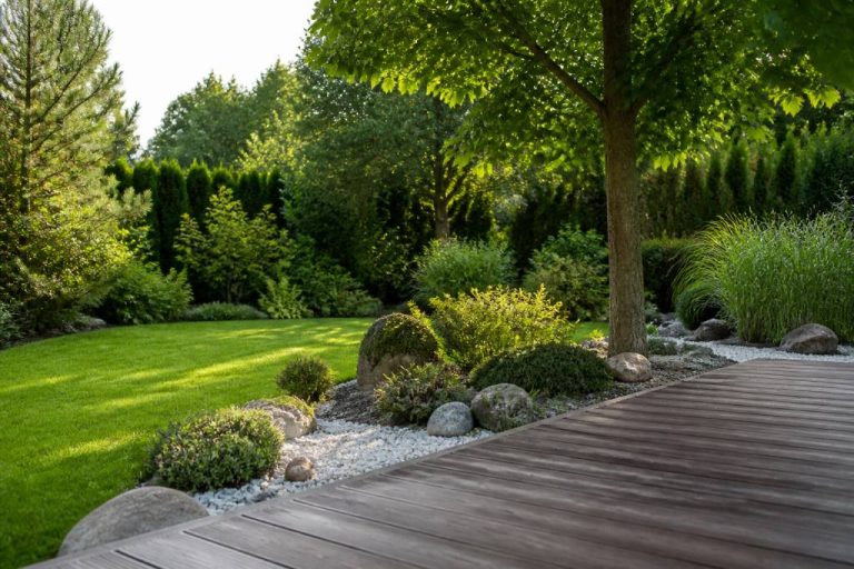 Agence des espaces verts de la région Île-de-France : services et conseils pour vos aménagements extérieurs