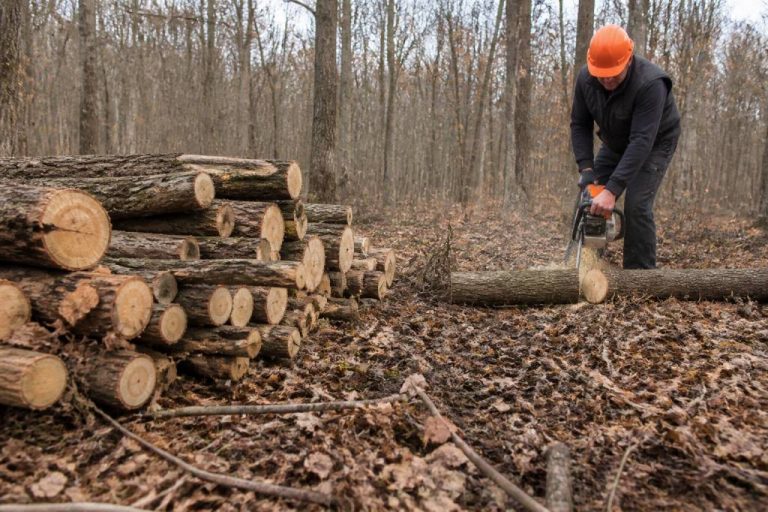 Affouage : comment en profiter pour se chauffer au bois efficacement