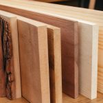 Différentes essences de bois : caractéristiques, usages et critères de choix