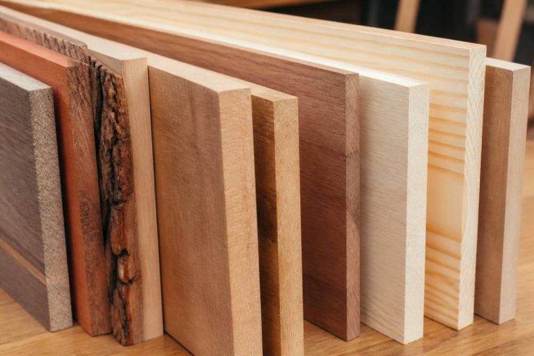 Différentes essences de bois : caractéristiques, usages et critères de choix