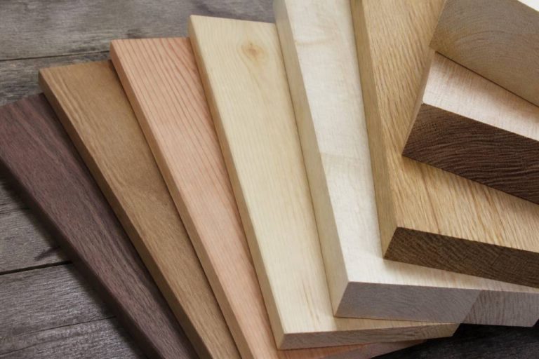 Essence de bois : comment choisir la meilleure variété pour vos projets en bois