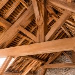 Charpente chêne : atouts, choix du bois et conseils de construction