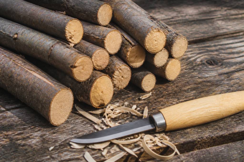 Bois noisetier : usages, caractéristiques et conseils pour bien le choisir