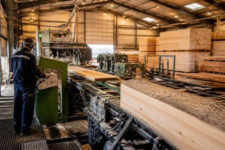 Bourgogne bois industrie : activités, savoir-faire et enjeux de la filière