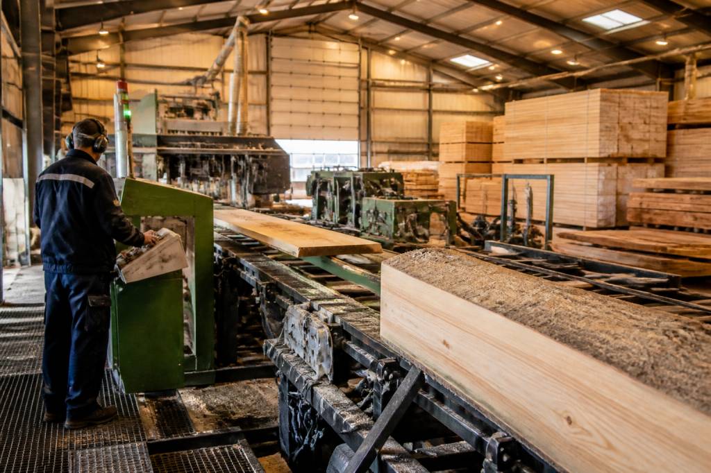 Bourgogne bois industrie : activités, savoir-faire et enjeux de la filière