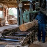 Lumber mill near me : comment trouver une scierie fiable près de chez vous