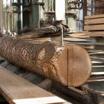 Ducerf scierie : expertise et savoir-faire dans la transformation du bois