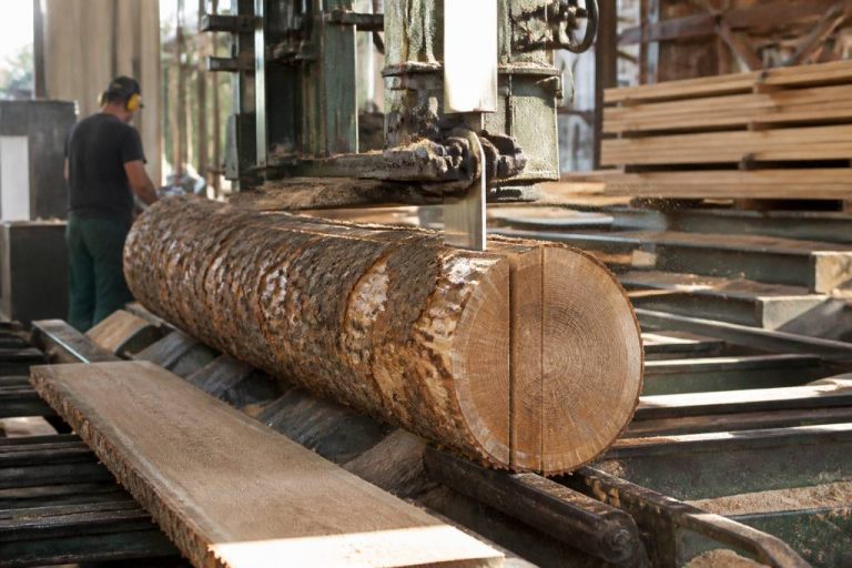 Ducerf scierie : expertise et savoir-faire dans la transformation du bois
