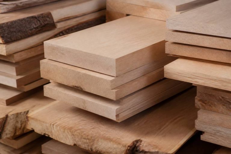 Beech wood : propriétés, usages et avantages de ce bois de hêtre