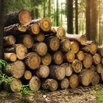 Bois PEFC : comprendre la certification et ses avantages pour une construction durable