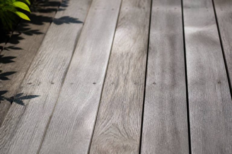 Bois grise : causes, prévention et solutions pour préserver son aspect naturel
