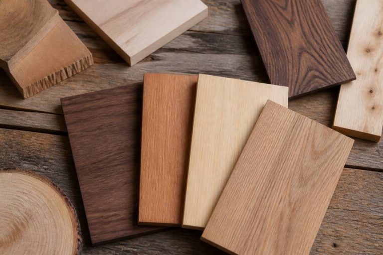 Différente essence de bois : caractéristiques, usages et conseils pour bien choisir