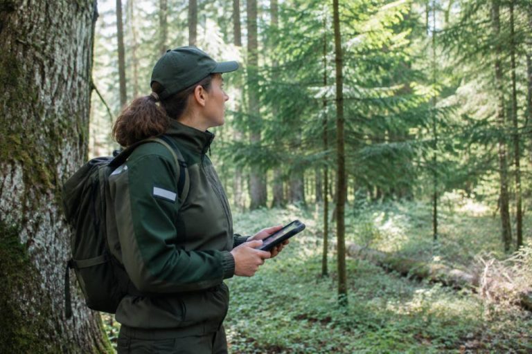 Agent ONF : rôle, missions et compétences dans la gestion des forêts