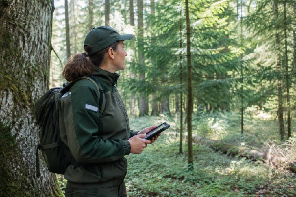 Agent ONF : rôle, missions et compétences dans la gestion des forêts