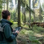 Office national des forêts paris : missions, gestion et patrimoine forestier