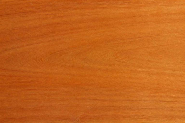 Couleur bois merisier : nuances, caractéristiques et conseils d’utilisation