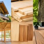 Bois léger : quelles essences choisir pour vos projets de construction et d’aménagement ?