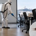 Désinsectisation contre les cafards à Lyon : quelles solutions pour les bureaux